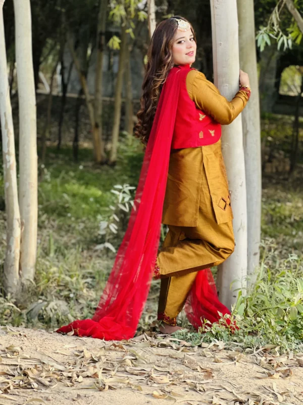 Embroidered 4 Pcs Suit-017 - Image 4