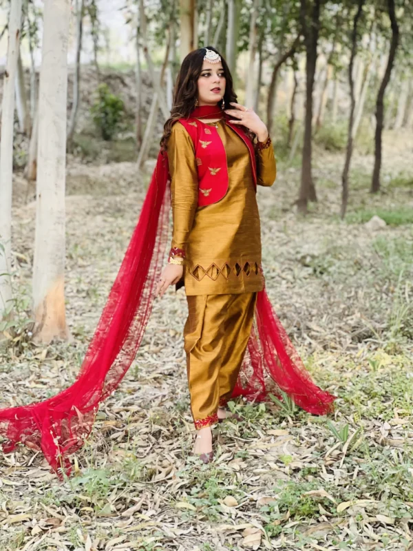 Embroidered 4 Pcs Suit-017 - Image 5