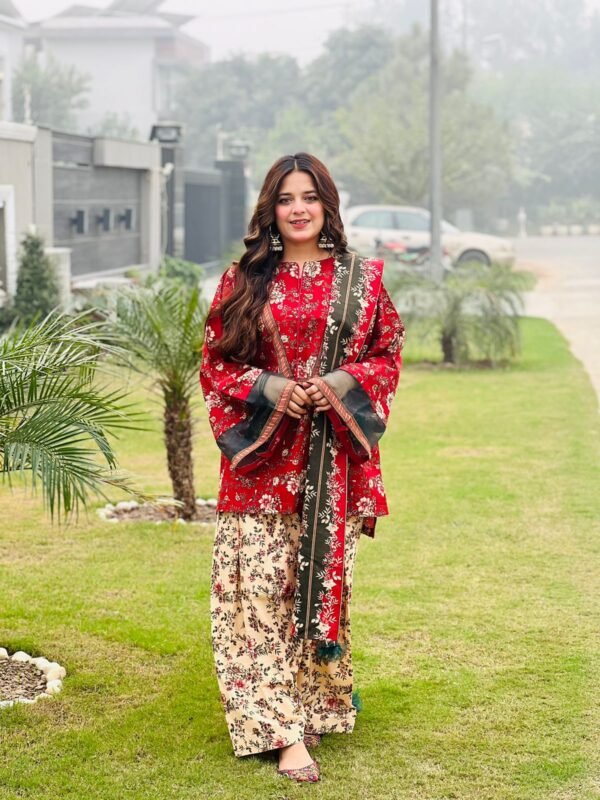 3 Piece Printed Khaddar Suit