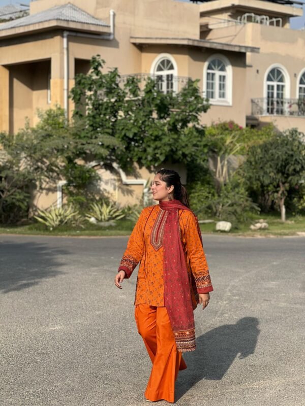 Printed 3 Piece Lawn Suit - 264 - Image 2