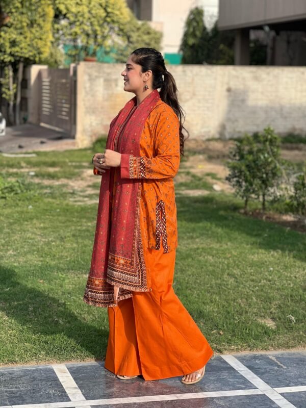 Printed 3 Piece Lawn Suit - 264 - Image 4