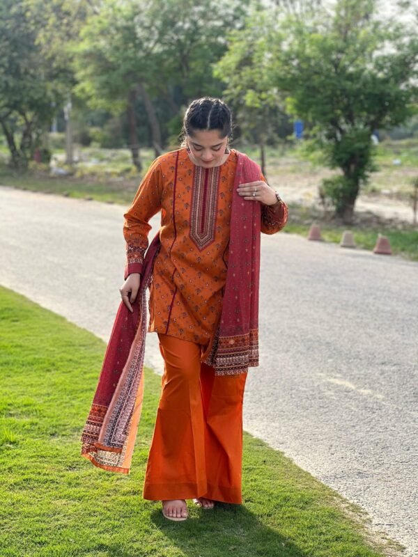 Printed 3 Piece Lawn Suit - 264 - Image 5