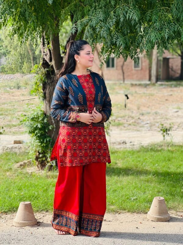 3 Piece Printed Lawn Suit  - 283 - Image 2