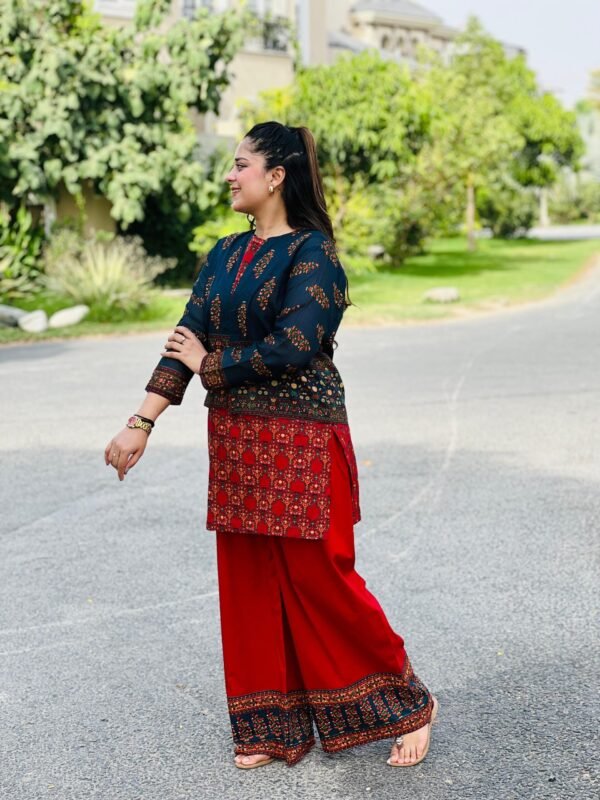 3 Piece Printed Lawn Suit  - 283 - Image 4