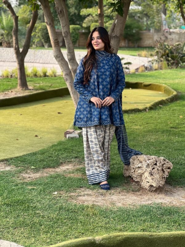 3 Piece Printed Lawn Suit - 275 - Image 3