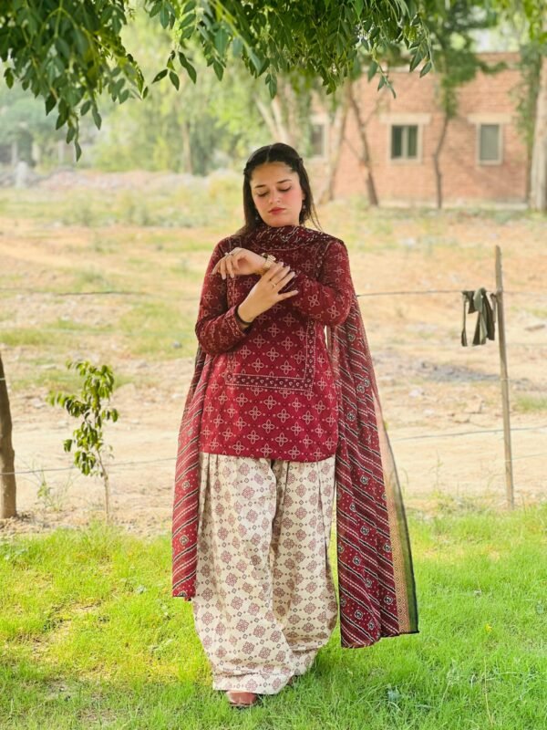 3 Piece Printed Lawn Suit – 285 - Image 4