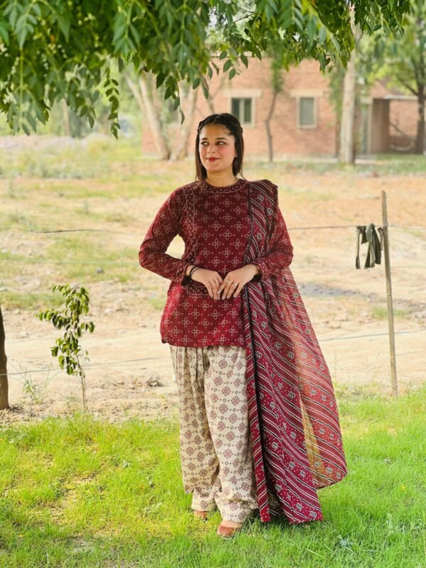3 Piece Printed Lawn Suit – 285 - Image 5