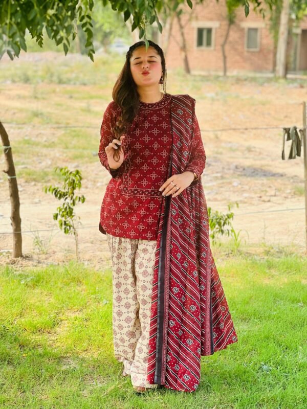 3 Piece Printed Lawn Suit – 285 - Image 3
