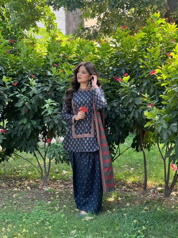 3 Piece Printed Khaddar Suit - 317 - Image 4
