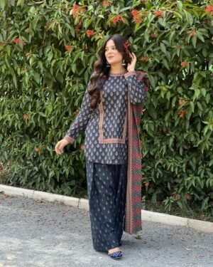 3 Piece Printed Khaddar Suit-317