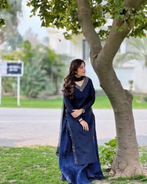 2 Piece Stone Work Raw Silk - 366