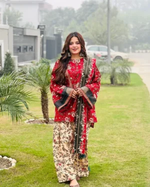 2 Piece Printed Lawn Suit - 374